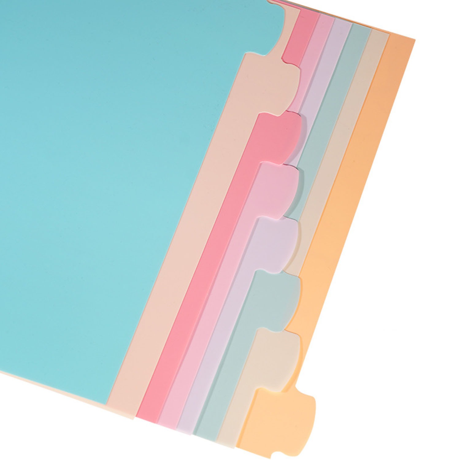 8 Tab Binder Dividers for 3 Ri - Paper Punch 3 Hole review and price