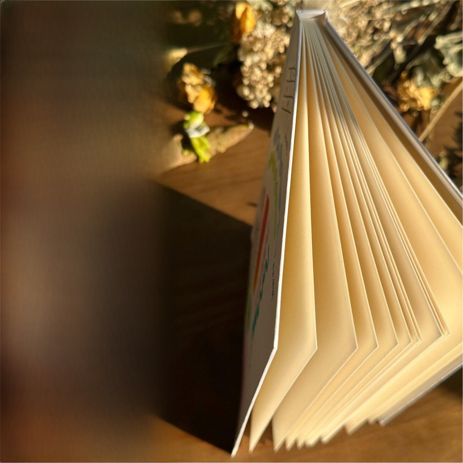 Hand Drawn Hard Cover Accordio - Journal Leather Hardcover review and price